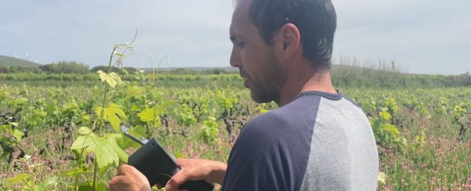 Luc Fonta tient le "food scanner" outil qui voit l'état de la vigne. D.R