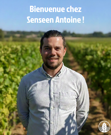 Arrivée d'Antoine Mellinger