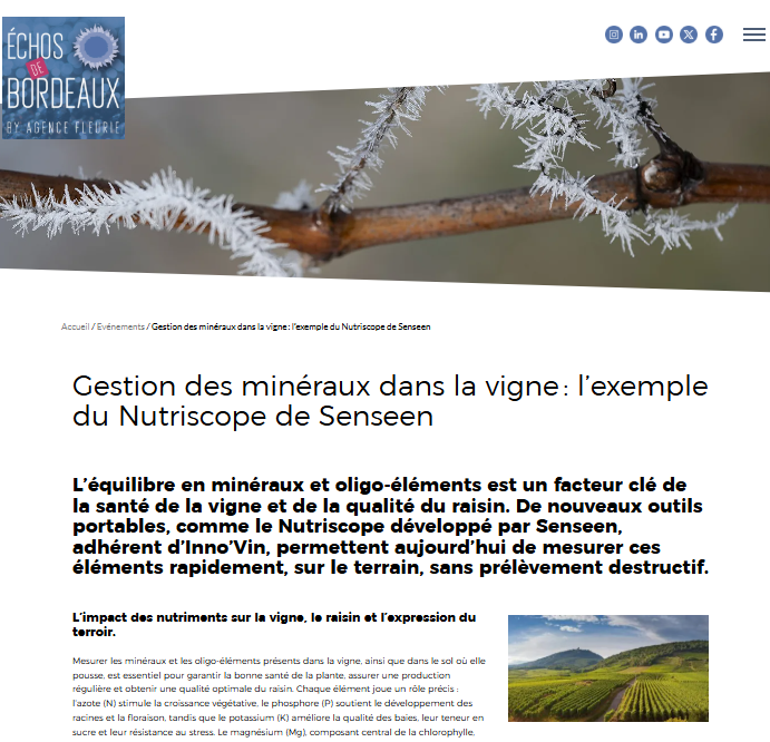 Article Les Echos de Bordeaux Juin 2025