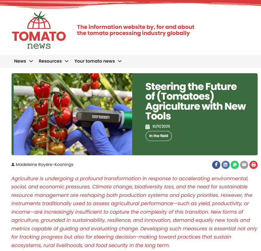 Article Tomato News 11-25