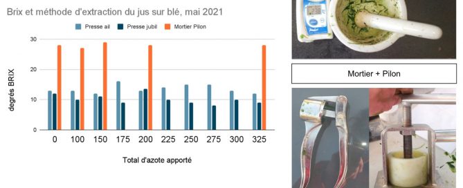 Brix : Différences entre la méthode mortier et presse ail