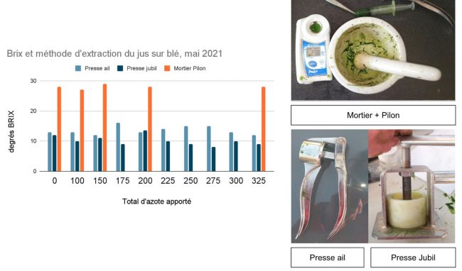 Brix : Différences entre la méthode mortier et presse ail