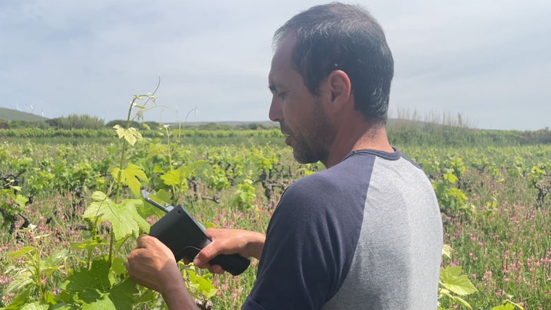 Luc Fonta tient le food scanner outil qui voit l’état de la vigne. D.R Luc Fonta tient le "food scanner" outil qui voit l'état de la vigne. D.R