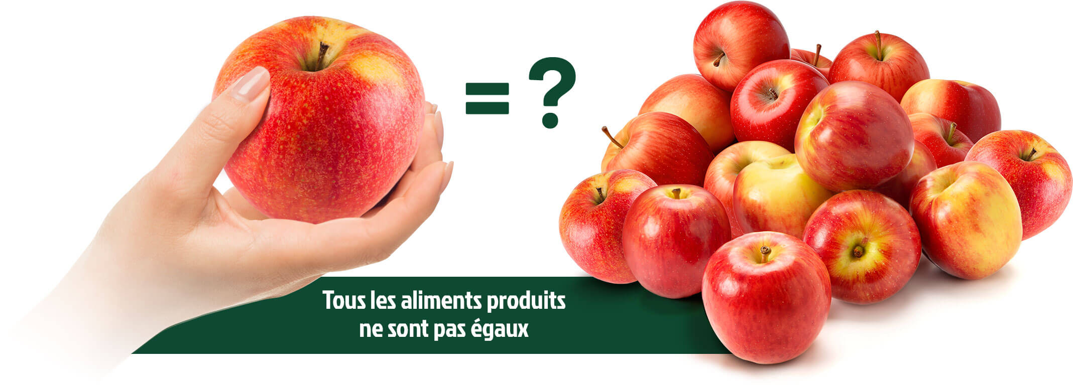 Qualité nutritionnelle