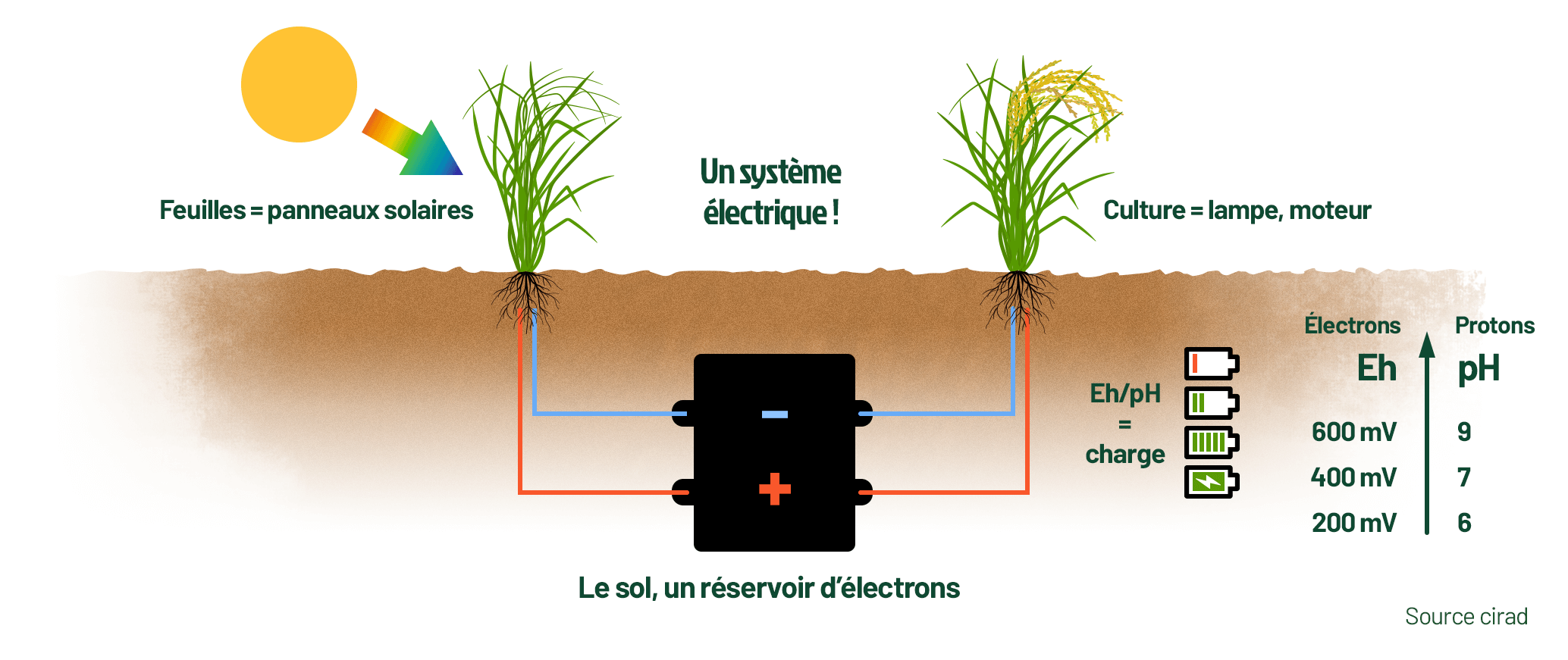 La vie est un petit courant électrique alimenté par le soleil 