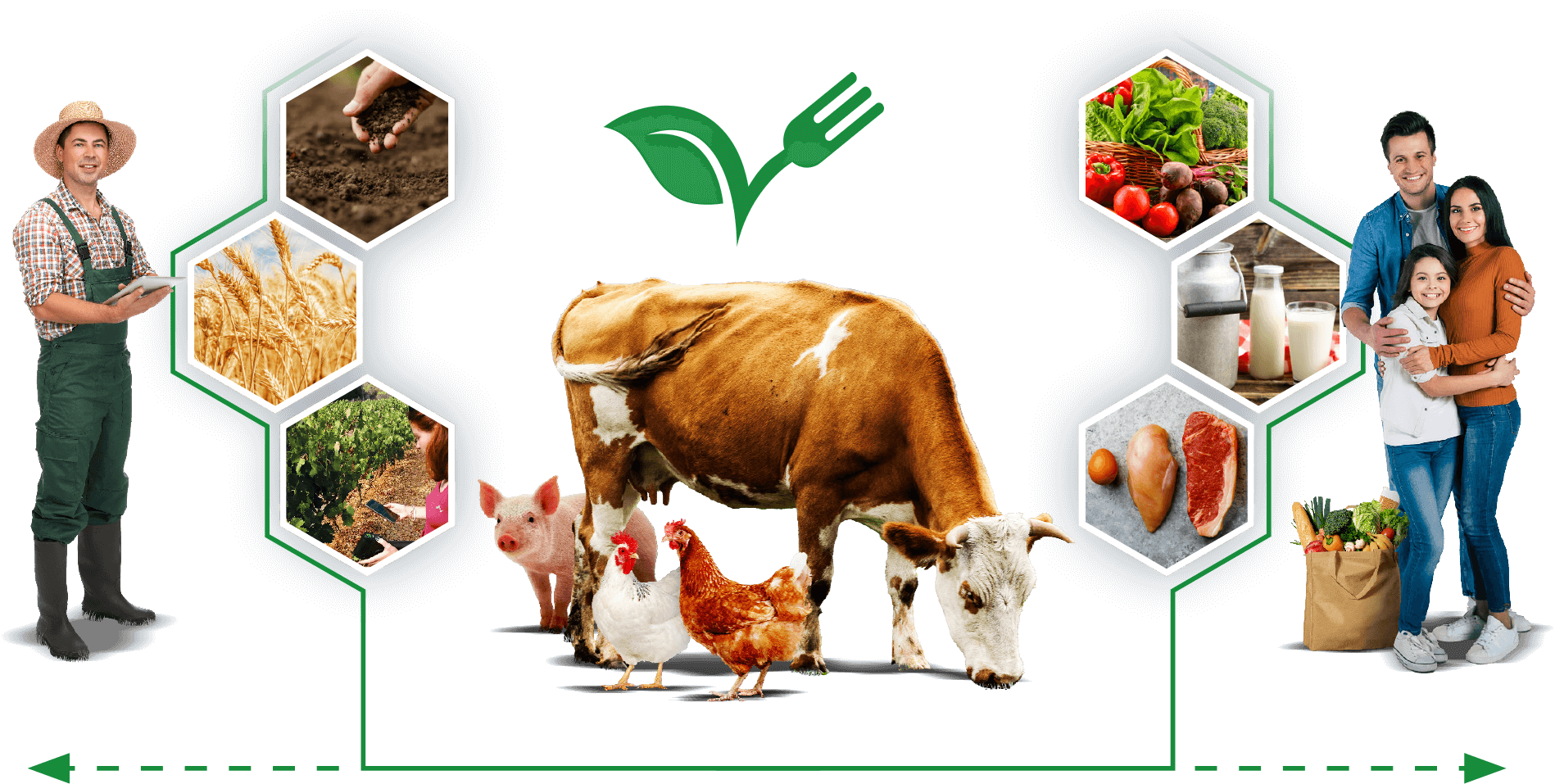 Farm to fork Farm to fork
