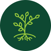 Biodiversité Biodiversité