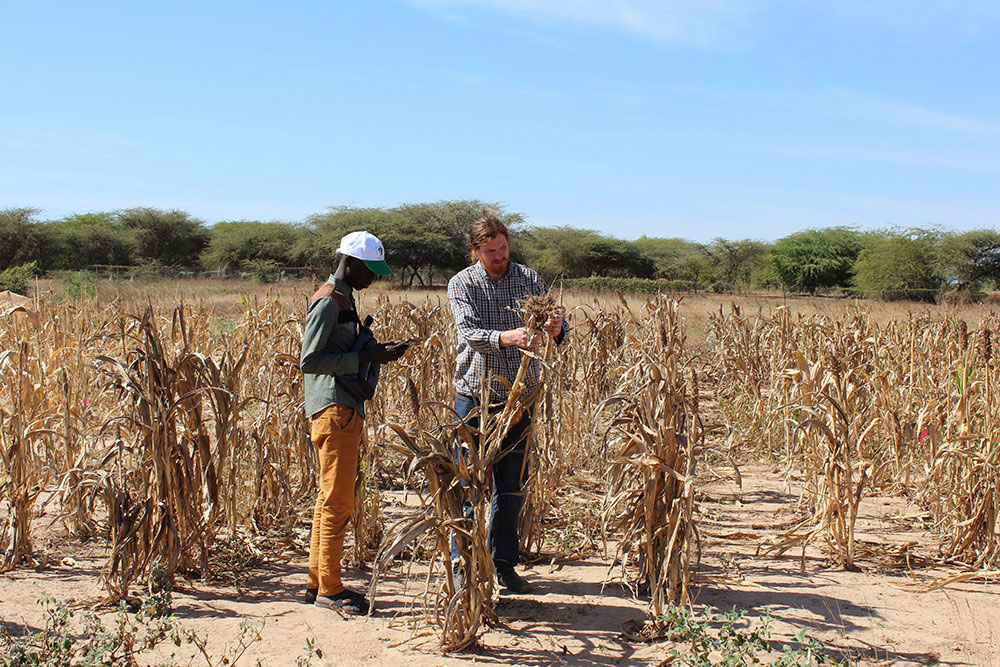 Agroecologie-en-Afrique-1