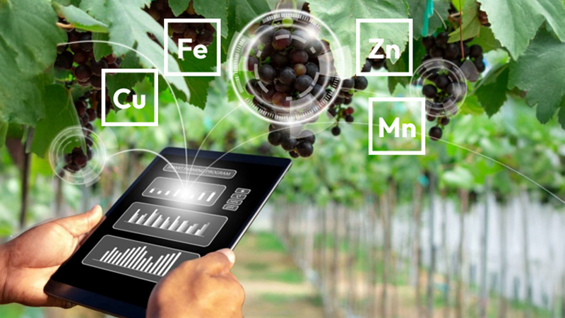 FOOD-SCANNER—le-bilan-d’un-an-de-travail