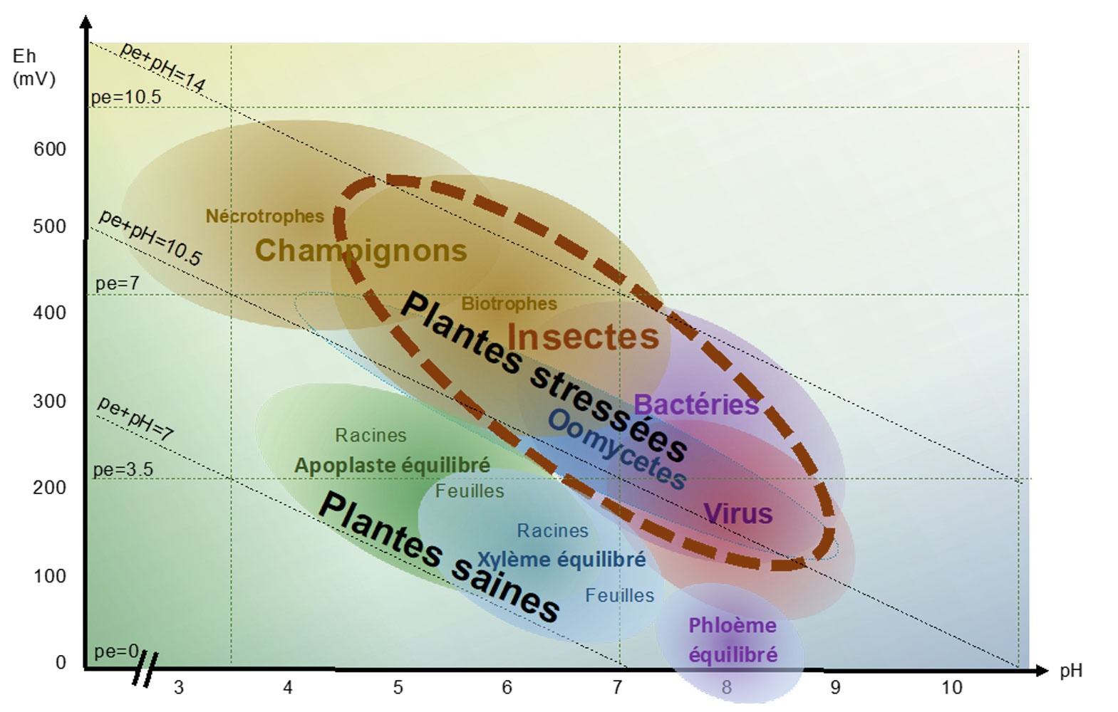 Journée-Nationale-Redox-1