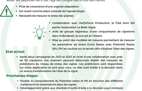Senseen au coeur des vignes