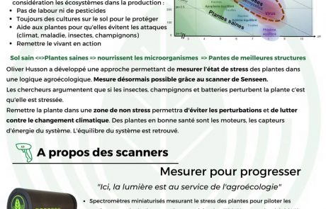Senseen au coeur des vignes