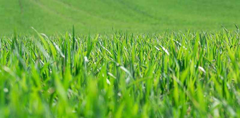 Webinaire sur l' Agroécologie