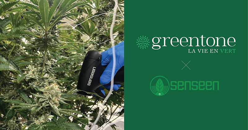 cannabis greentone