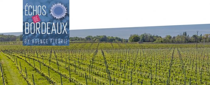 Echos de Bordeaux