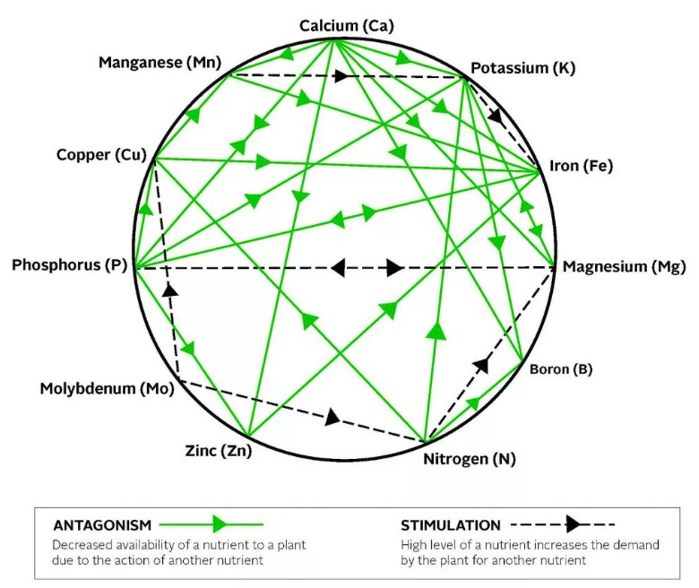 Diagramme de Mulder selon Harlaut 2019