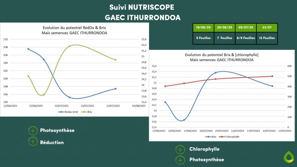 Suivi du Redox et du Brix avec le Nutriscope